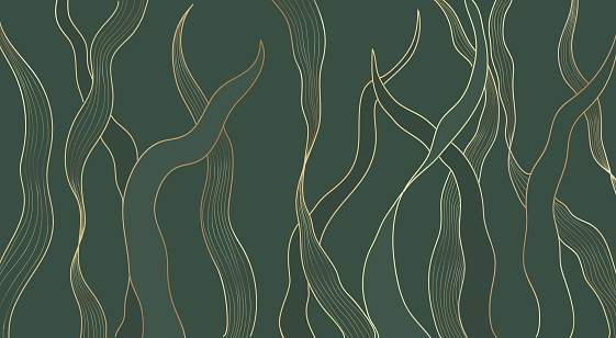 Gold line luxury nature floral leaves background vector. Abstract golden split-leaf seaweed plant lined arts, Vector pattern illustration.