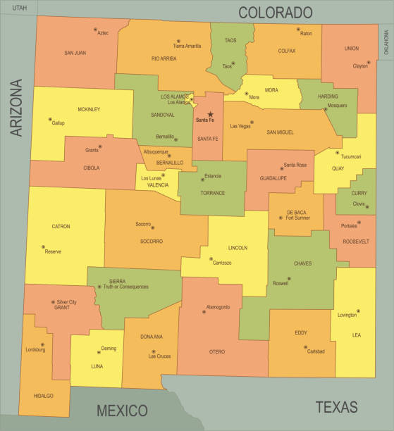 płaska mapa nowego meksyku - new mexico map counties county stock illustrations