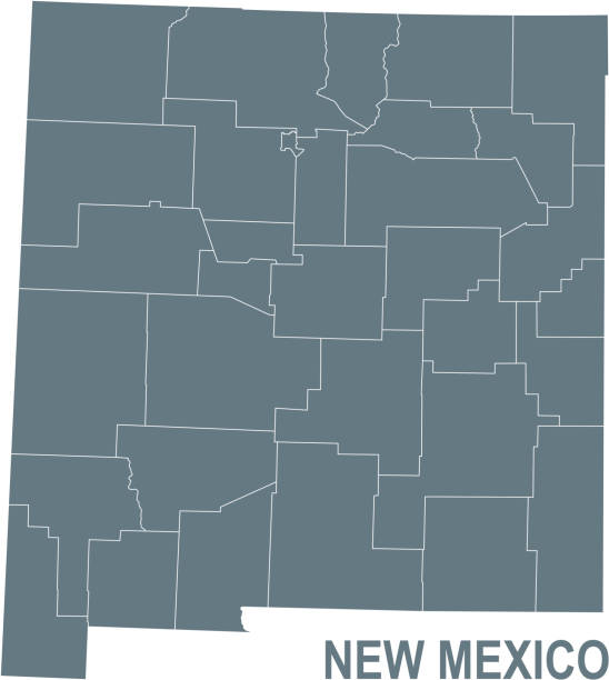 podstawowa mapa nowego meksyku z liniami granicznymi - new mexico map counties county stock illustrations