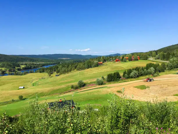 Farmland in Jämtland, Åre, Sweden, Scandinavia. Red cottages and fields. Red tractor harvesting. Summer, sunshine and blue sky.