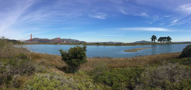 istock Panorama with San Francisco golden gate in the horizon 1302840627
