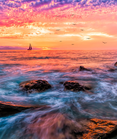 An Ocean Sunset in a Vertical Image Format With a Vivid Colorful Sky and Birds Flying in the Distance