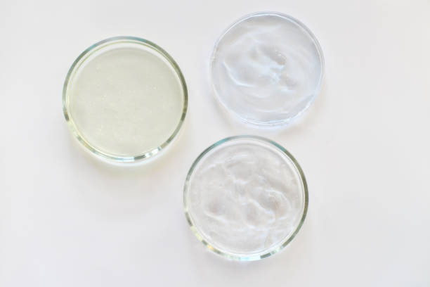 istock three glass Petri dishes on a laboratory table. 1302846530
