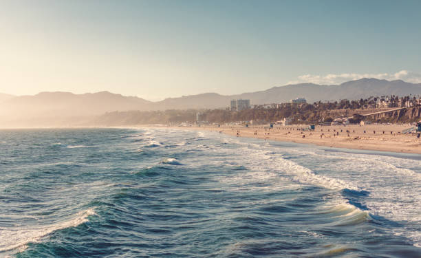 a view of venice beach and los angeles nearing sunset with children playing the waves and silhouetted palm trees - santa monica beach imagens e fotografias de stock