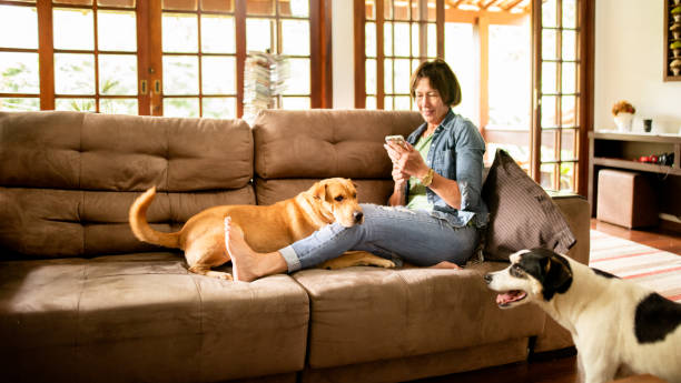 istock Smiling woman texting while sitting with her dogs on her sofa at home 1302849116