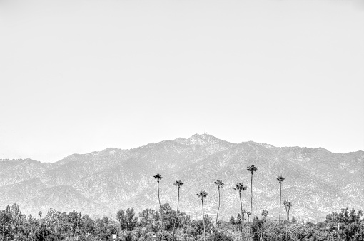 The foothills in Pasadena, California with palm trees