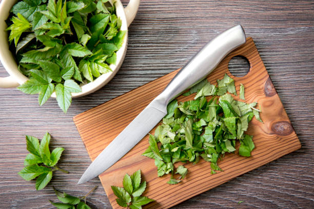 Using fresh young goutweed leaves for food in spring. Aegopodium podagraria commonly called ground elder, herb gerard, bishop's weed, gout wort. Chopped leaves on cutting board. Top view, studio shot. uso de hojas frescas de algas jóvenes para la comida en primavera. aegopodium podagraria comúnmente llamado anciano terrestre, hierbas gerard, hierba del obispo, hierba de gota. hojas picadas en la tabla de cortar. vista superior, foto de estudio.