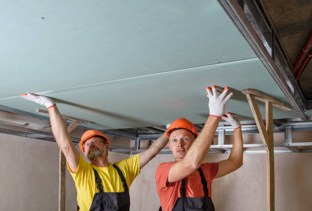 istock Installation of ceiling drywall. 1302860477