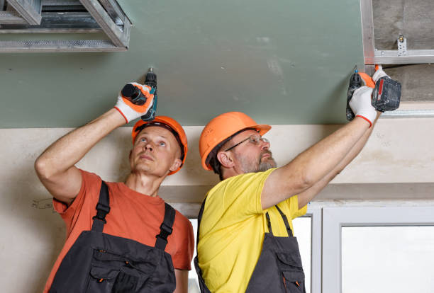 istock Installation of ceiling drywall. 1302860488