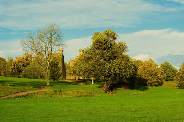 istock Field with trees in front of the castle. 1302860839