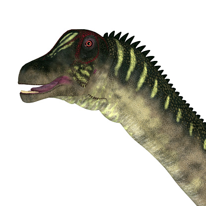 The Titanosaur herbivorous sauropod dinosaur Antarctosaurus lived in South America during the Cretaceous Period.
