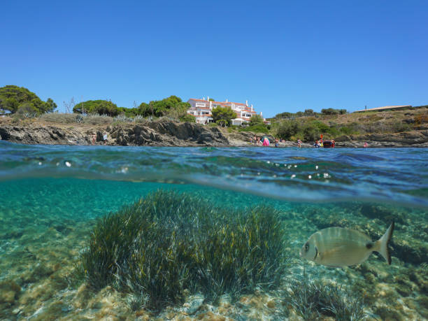 istock Mediterranean sea coast and underwater Spain 1302865355