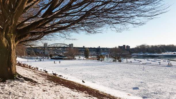 istock Snowy day at English Bay 1302866528