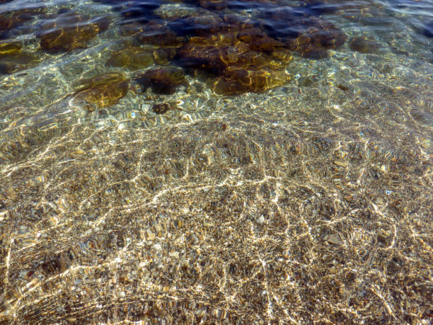 istock Seabed. Background. Shore of the sea. 1302866615