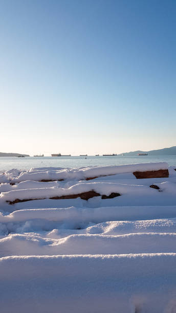 Snowy Logs at Beach Snowy day at English Bay Vancouver, Canada beach english bay vancouver skyline stock pictures, royalty-free photos & images