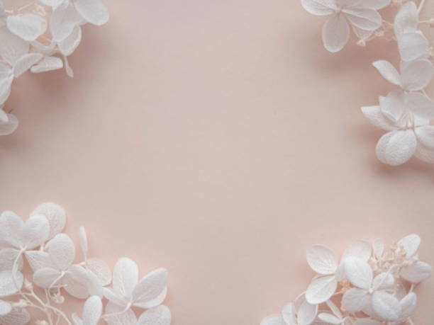 istock Flowers composition. Frame made of beige flowers hydrangea on beigebackground. Valentines day, mothers day and womens day concept. Flat lay, top view. 1302867206