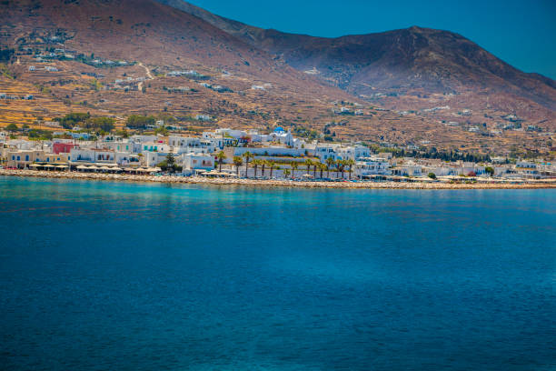 Flora of Antiparos, Cyclades