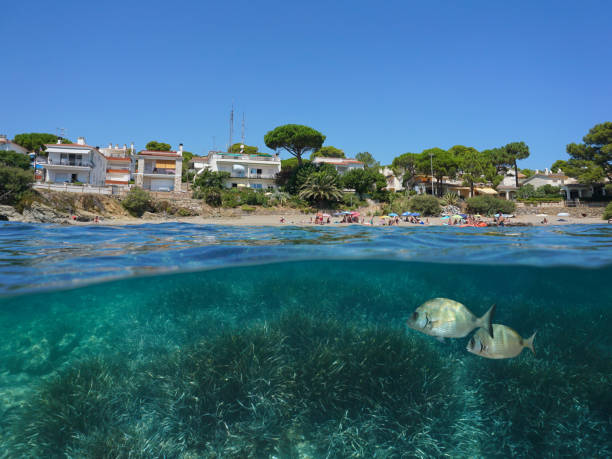 水の下に地中海の海岸線スペイン - below sea level ストックフォトと画像