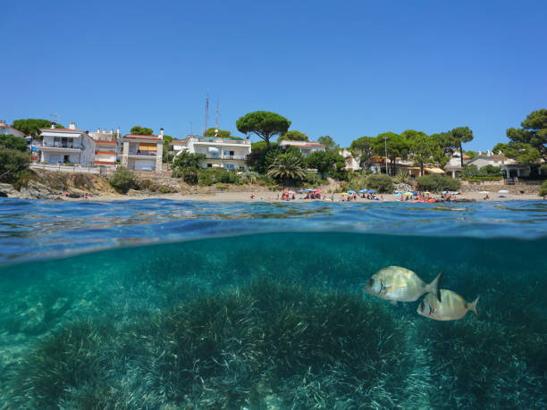 litoral do mar mediterrâneo sob a água espanha - below sea level - fotografias e filmes do acervo