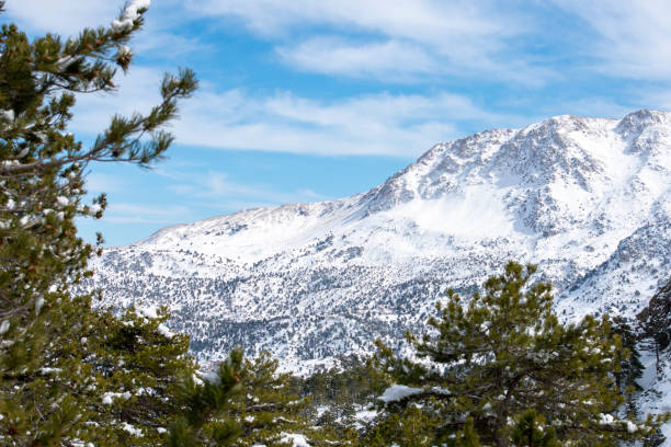 istock Snow-capped mountains in winter. Mountains and Pine trees covered with snow 1302871306