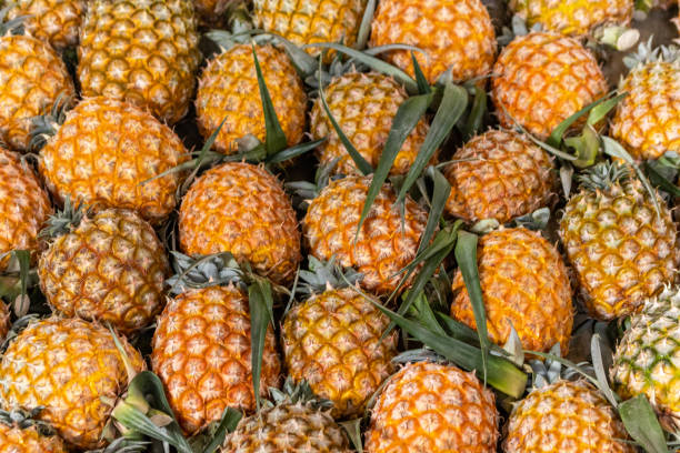 Pineapples on display at farmers market, fresh and healthy fruits, Azores islands. stock photo