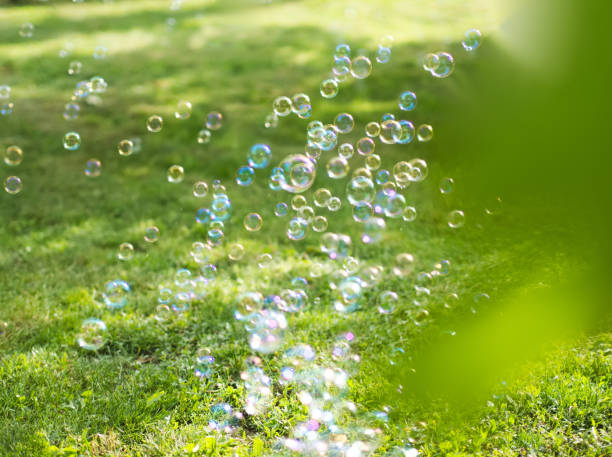 Soap Bubbles in the Yard