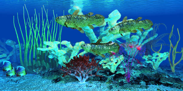 Coelacanth Fish Reef Indian Redfin Butterflyfish watch as a group of Coelacanth fish swim over a nearby reef full of Staghorn coral. coelacanth photos stock pictures, royalty-free photos & images