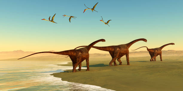 Malawisaurus Dinosaur Beach Quetzalcoatlus reptiles fly out to sea as a herd of Malawisaurus dinosaurs go in search of vegetation to eat. cretaceous photos stock pictures, royalty-free photos & images