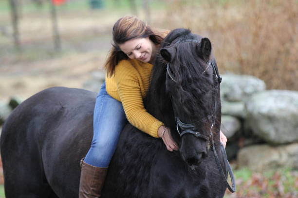 istock Bareback Rider and her Friesan Horse 1302876633