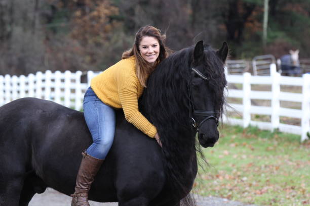 istock Bareback Rider and her Friesan Horse 1302876635