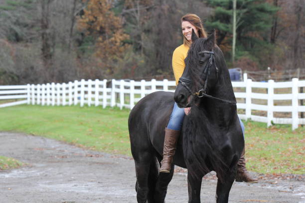 istock Bareback Rider and her Friesan Horse 1302876647
