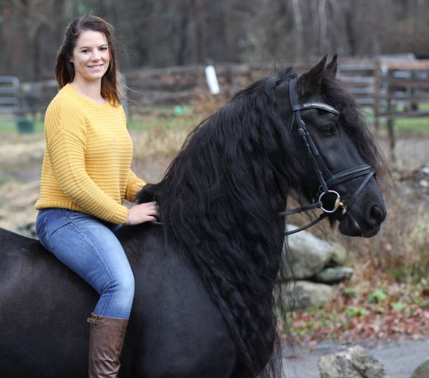 istock Bareback Rider and her Friesan Horse 1302876652