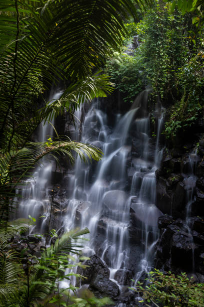 istock Tropical waterfall in Bali Indonesia 1302879594