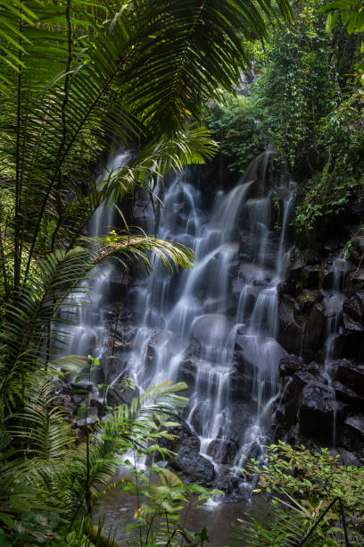 istock Tropical waterfall in Bali Indonesia 1302879613