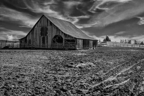 grange de campagne - burney photos et images de collection