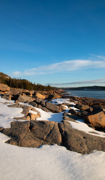 istock Acadia Coastline in Winter 1302881638