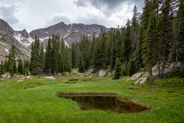 istock Small Pond in the Eagles Nest Wilderness, Colorado 1302882711
