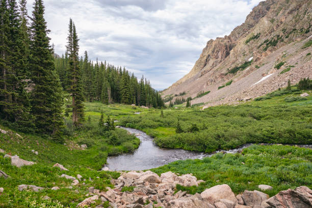 istock Boulder Creek in the Eagles Nest Wilderness, Colorado 1302882724