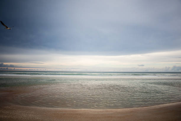 istock Smell the salty air here 1302882801