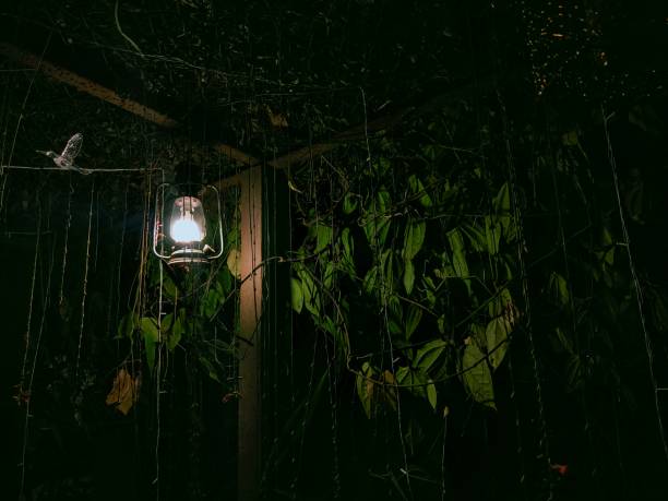 close up of Old-fashioned lantern