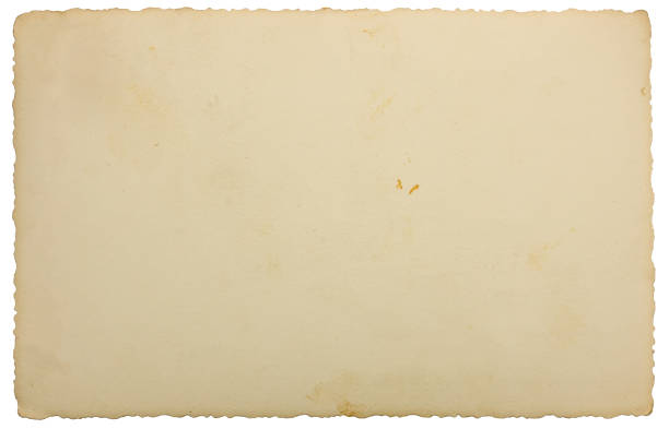 istock Beige tan old aged vintage edge photo background texture, isolated blank empty horizontal photograph reverse side copy space, sepia toned large detailed postcard grungy stained macro closeup 1302885387