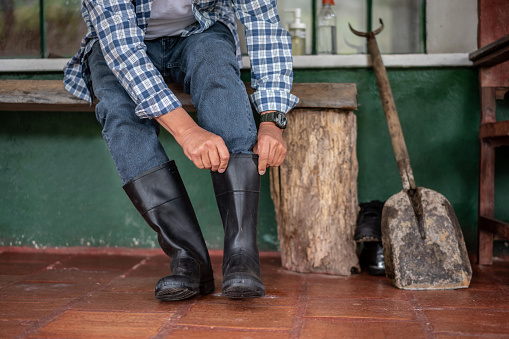 Close-up on a rural worker getting ready for work and putting on his rubber boots - countryside lifestyle concepts