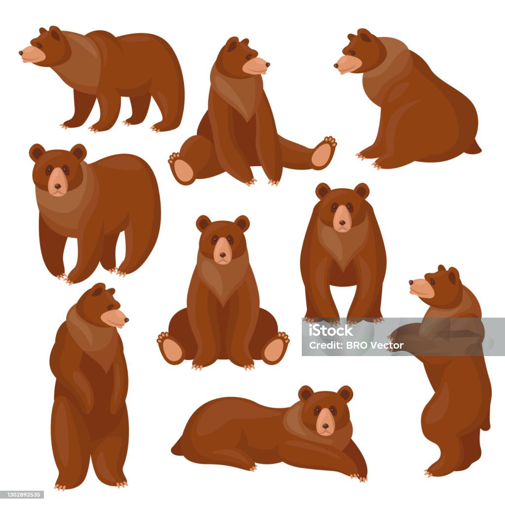Brown Bears Set Stock Illustration - Download Image Now - Bear, Grizzly Bear,  Vector - iStock