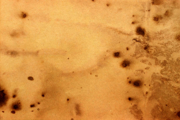istock Old brown paper grunge background. Abstract liquid coffee color texture. 1302894758