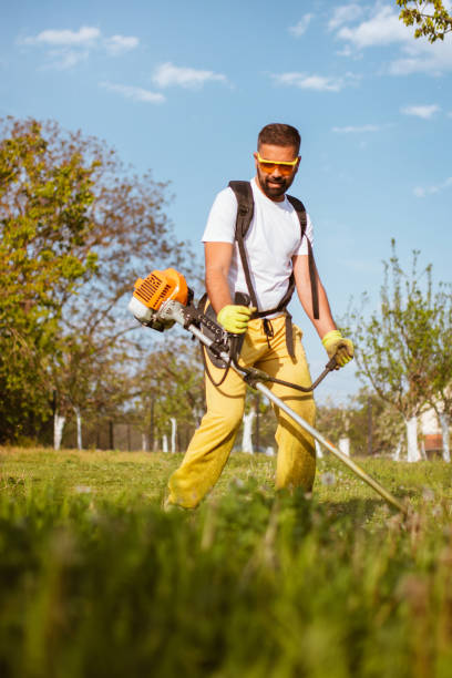 istock A man mows the thick grass with a gasoline trimmer 1302899497