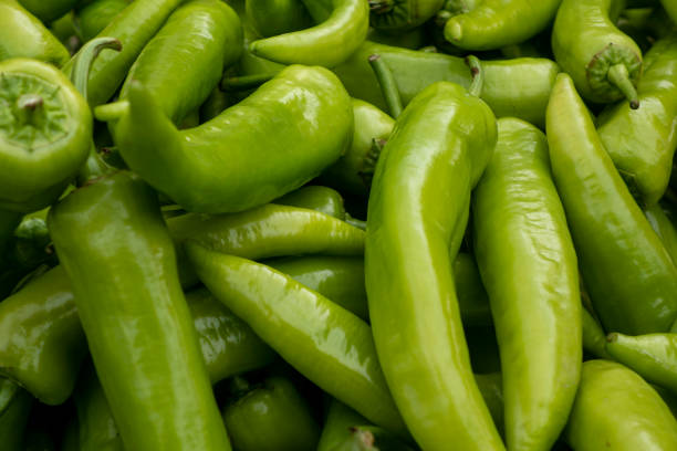 緑胡椒  - green bell pepper bell pepper pepper vegetable ストックフォトと画像