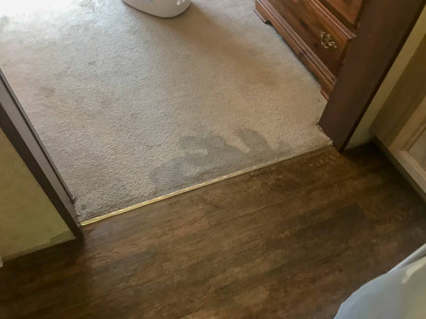 Water soaked carpet after leak inside bathroom stock photo