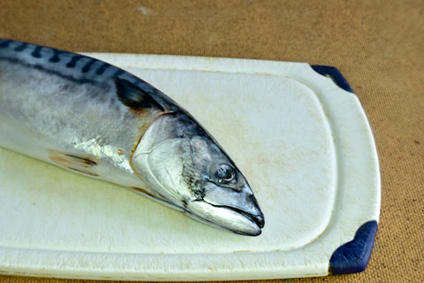 istock Mackerel fish lies on a cutting board. 1302902422