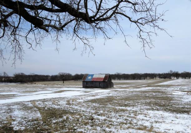 granero enmarcado por la rama de árbol desnudo en la zona rural de texas con nieve - lone star symbol fotografías e imágenes de stock