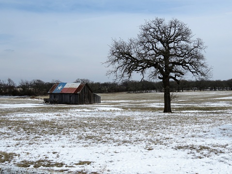 A barn and single tree in a rural snow landscape in Texas on February 2021. Barn has Lone Star State Flag painted on the roof. Buckboard wagon.